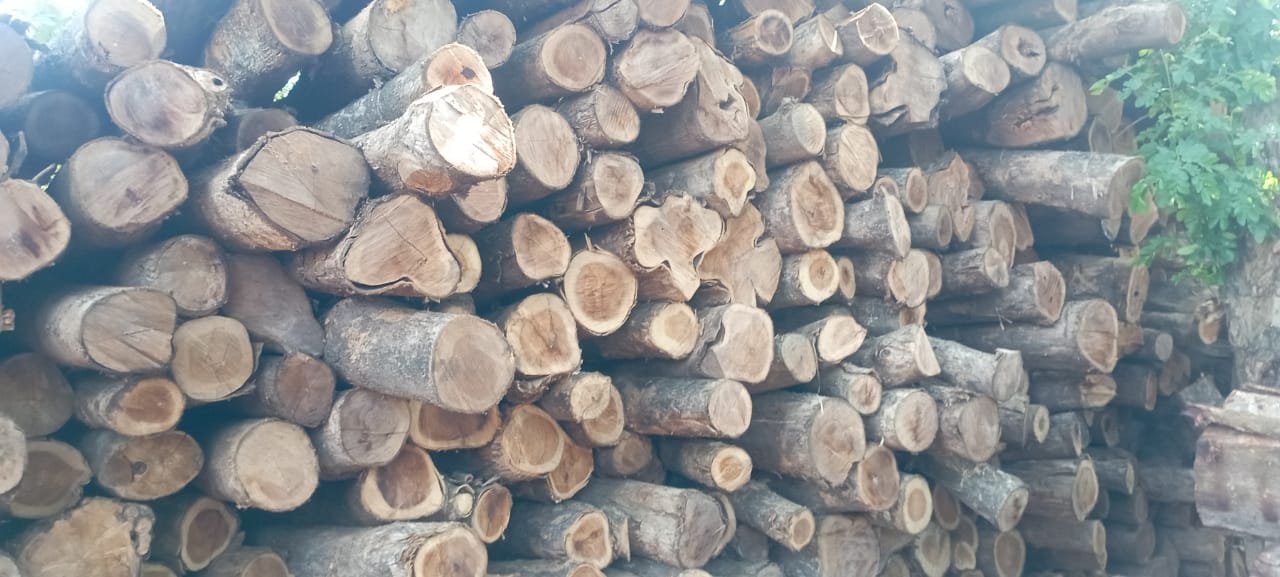 Kerala Wood Logs